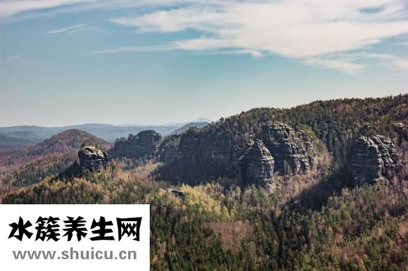 胃管多久更换一次
