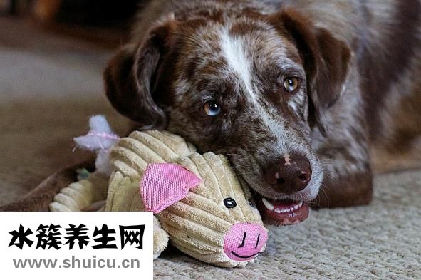 牙膏会过期吗