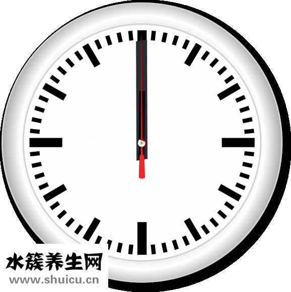 血常规怎么看贫血