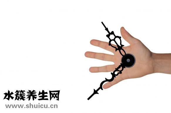 酸菜的热量