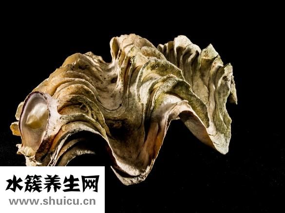 牙膏会过期吗