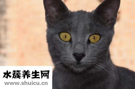 眼睛水肿怎么解决
