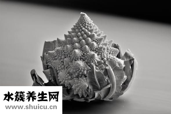 粘米是什么米