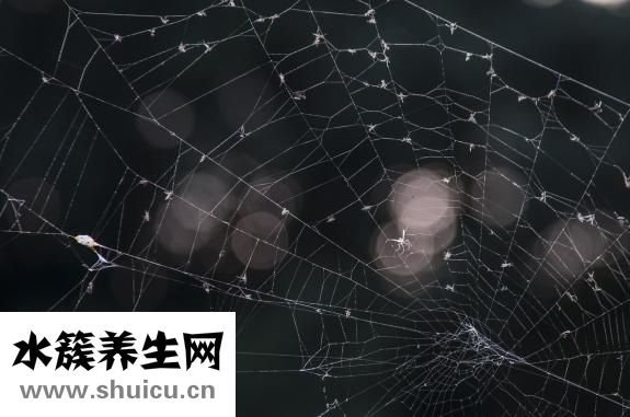 胸外按压频率