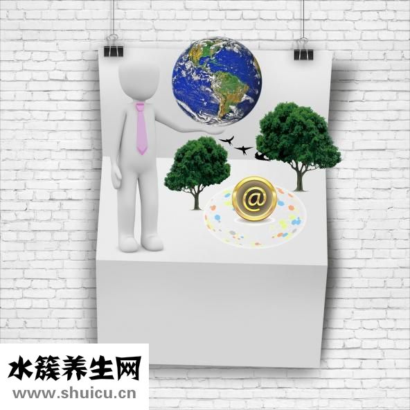 瑜伽体式大全