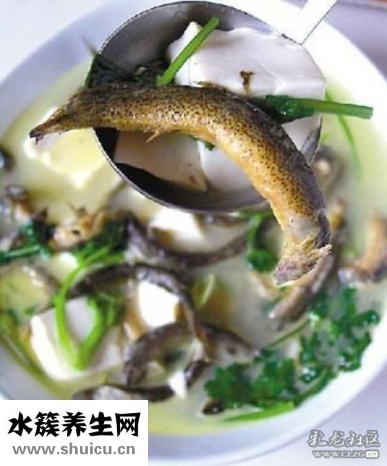 黄鳝和泥鳅的区别