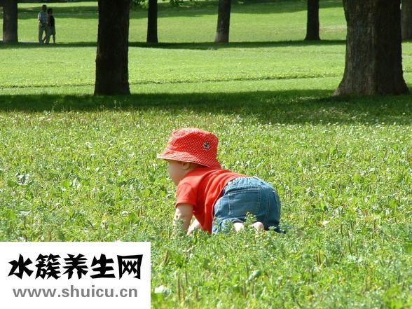 雪山胃宝胶囊