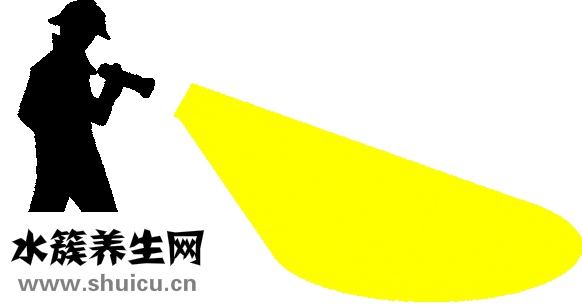 血小板是什么东西