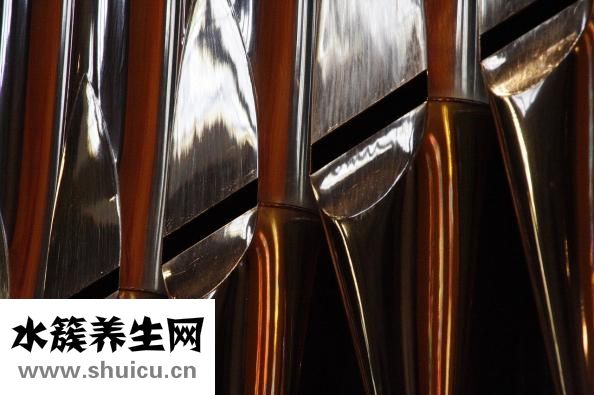 生物电理疗