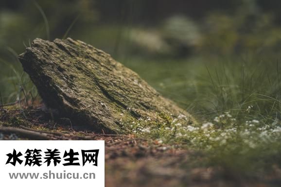 纯蜂蜜怎么辨别