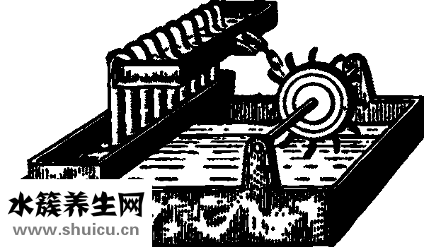 手腕是哪个部位