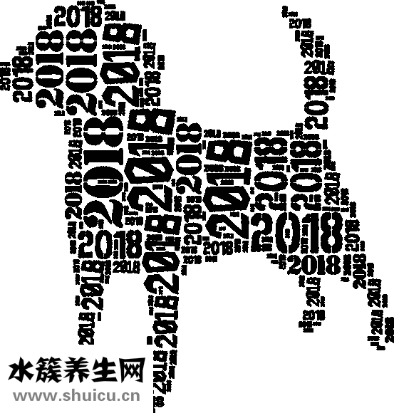 香菇炖鸡面