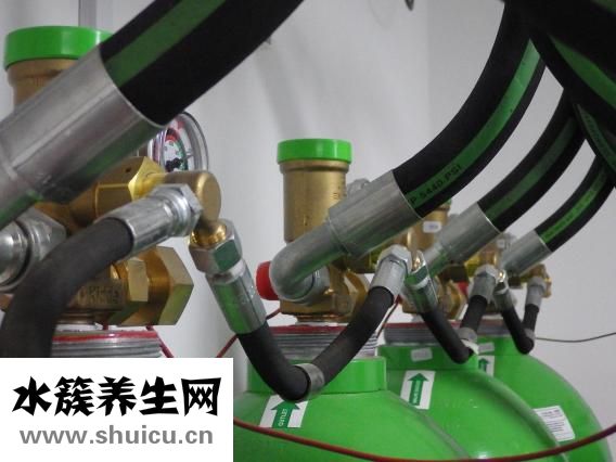 黑杞子功效