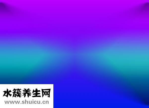 大便是黑色的