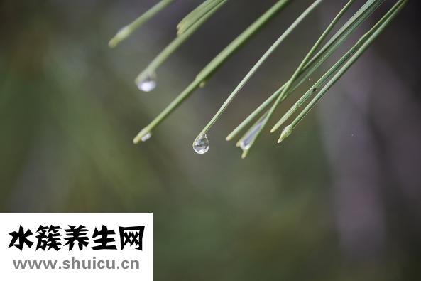 收汁要盖锅盖吗