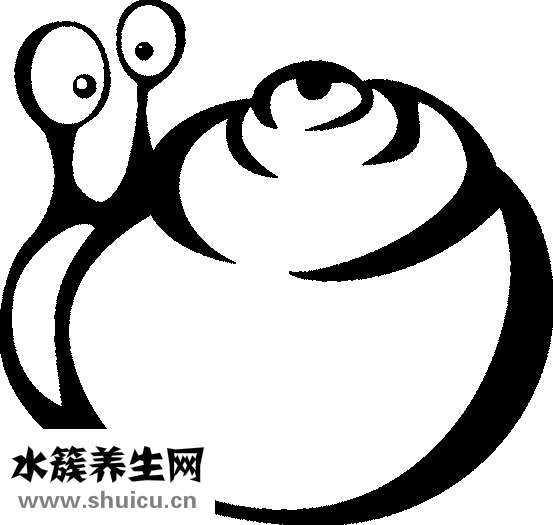 眼睛过敏用什么药