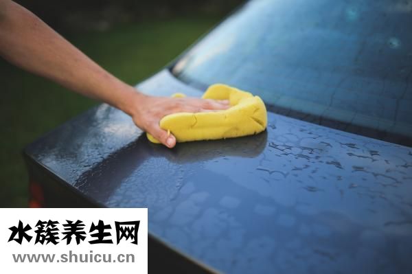 蛇莓的功效与作用