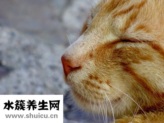 缩鼻翼要多少钱