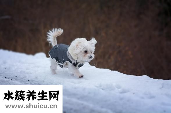 蟹黄酱怎么吃