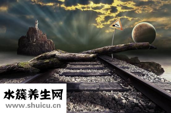 脱发的头发