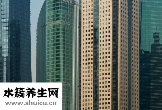虾皮怎么吃