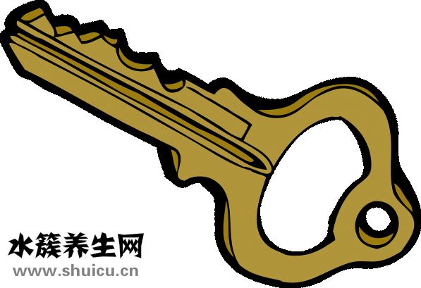 肾上腺素是什么