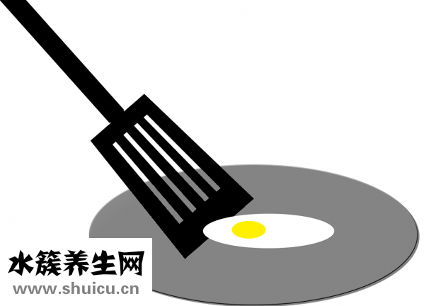 鹦鹉蛋能吃吗