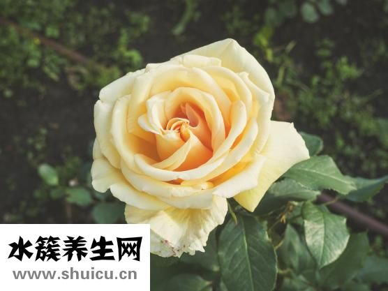 小孩身高体重过轻怎么办？专家为你解答！