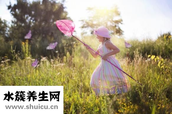 车厘子是不是樱桃