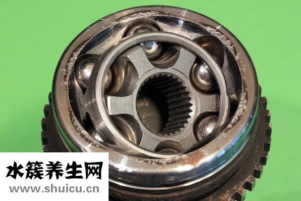 胃动力最好的中成药