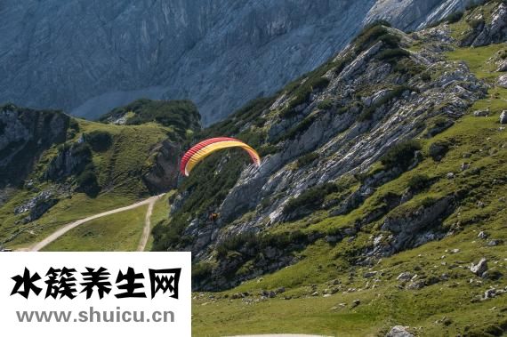 肾上腺素是什么
