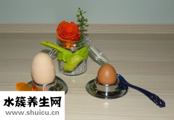 鹦鹉蛋能吃吗