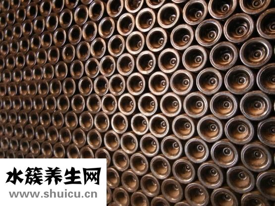 牙齿的种类有哪些
