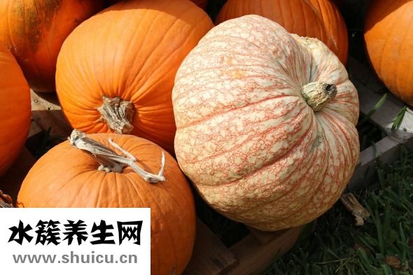 倭瓜南瓜的区别