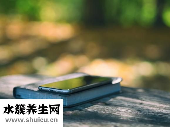 牙齿的种类有哪些