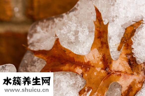 虾皮怎么吃