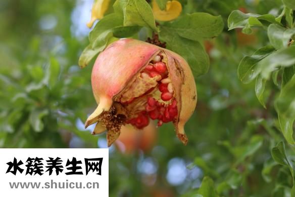 怎么快速变白