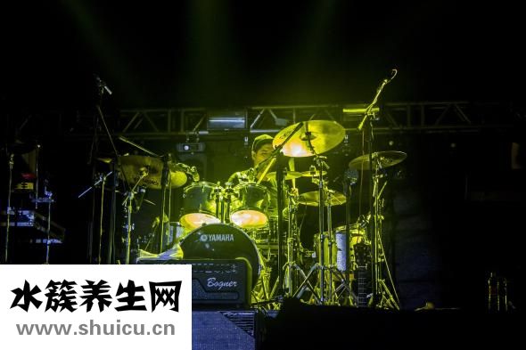 打击乐器有别于惩罚乐母要引起家的注意