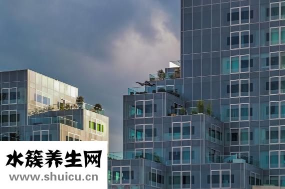 人是怎么来的