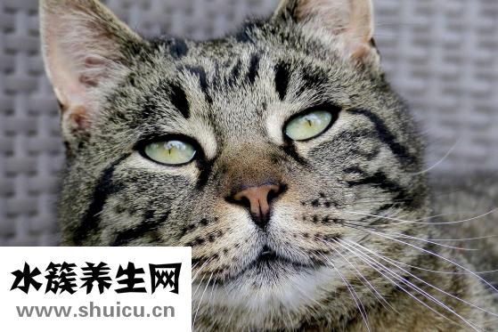 怀孕感冒了怎么办