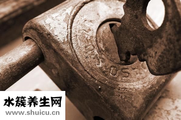 墨鱼干怎么做好吃