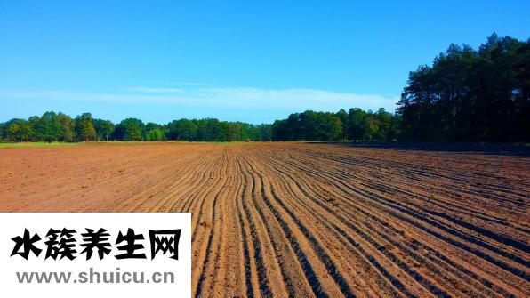 乌江在哪里