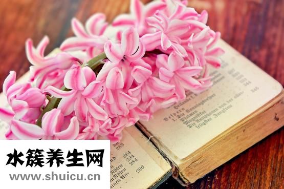 为什么月经是黑色的
