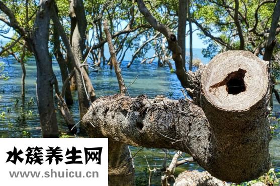卷发怎么打理