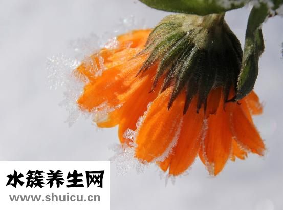 孕妇上火怎么办