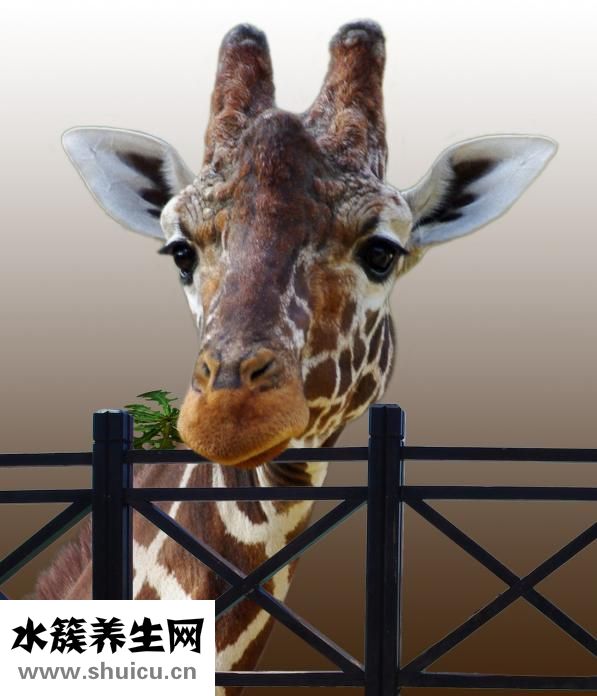 怎么去除抬头纹