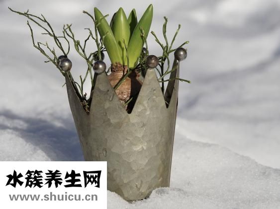 右眼皮跳是什么预兆