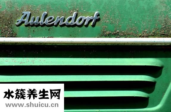 如何治疗口臭