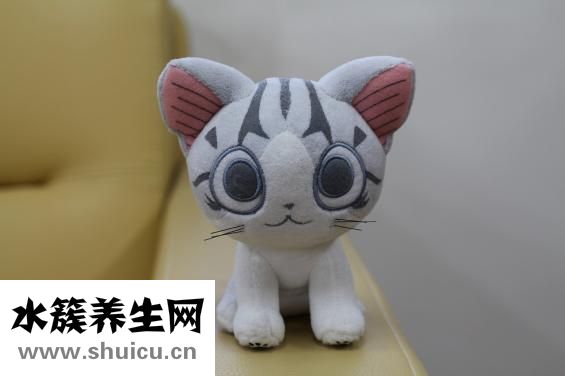 奶酪是什么
