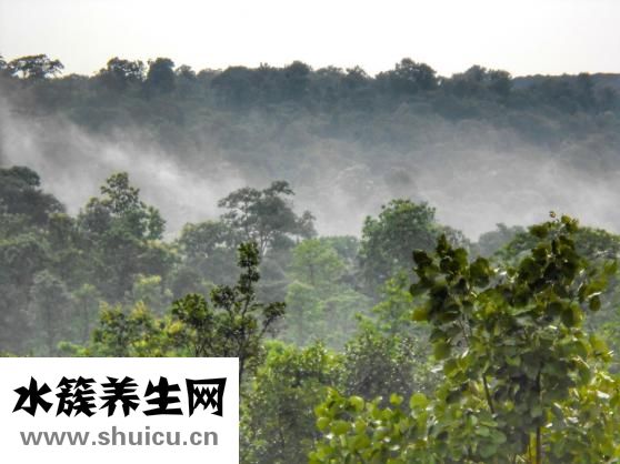 卷发怎么打理
